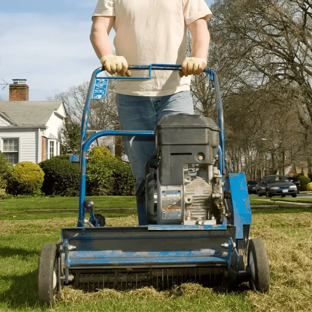 dethatching service lawn care cumming ga