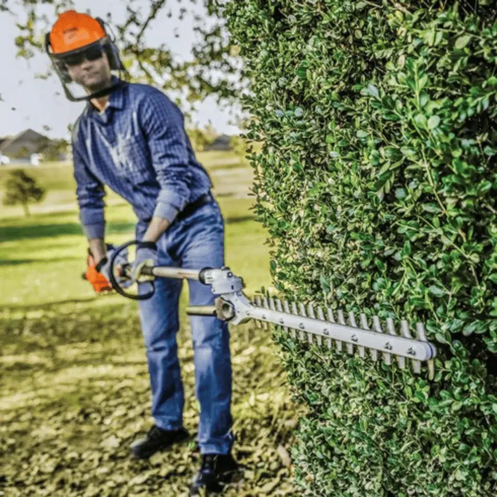 hedge trimming