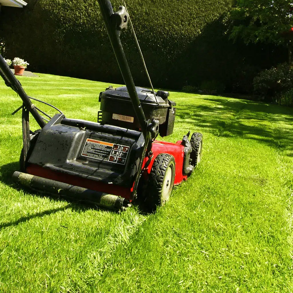 lawn scalping service