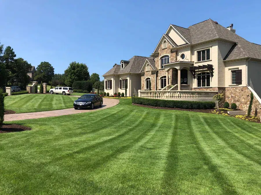 zenith zoysia sod installation Cumming GA