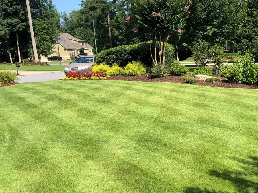 zeon-zoysia-sod