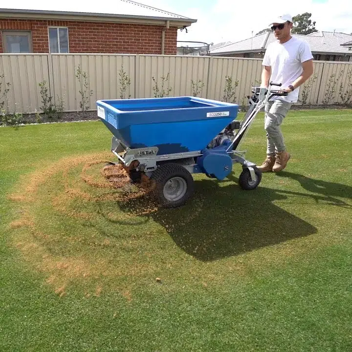 Top Dressing