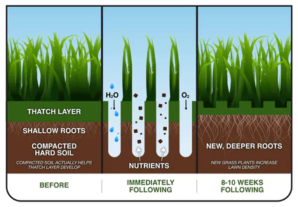 aeration benefits