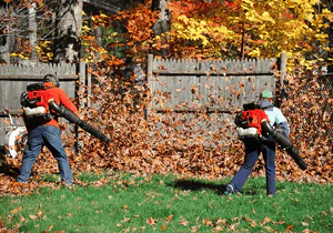 Lawn Mowing