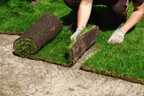 laying sod