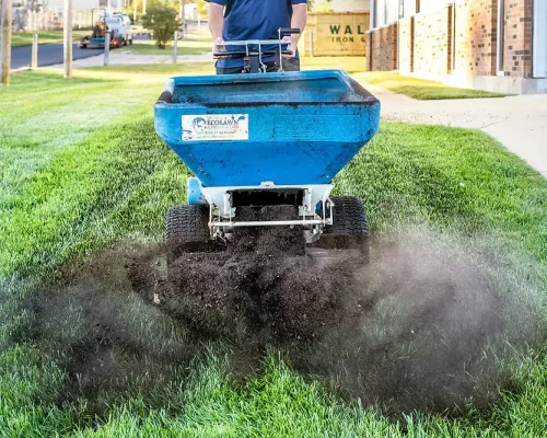 top dressing